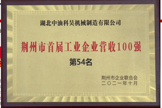 Top 100 in revenue of industrial enterprises